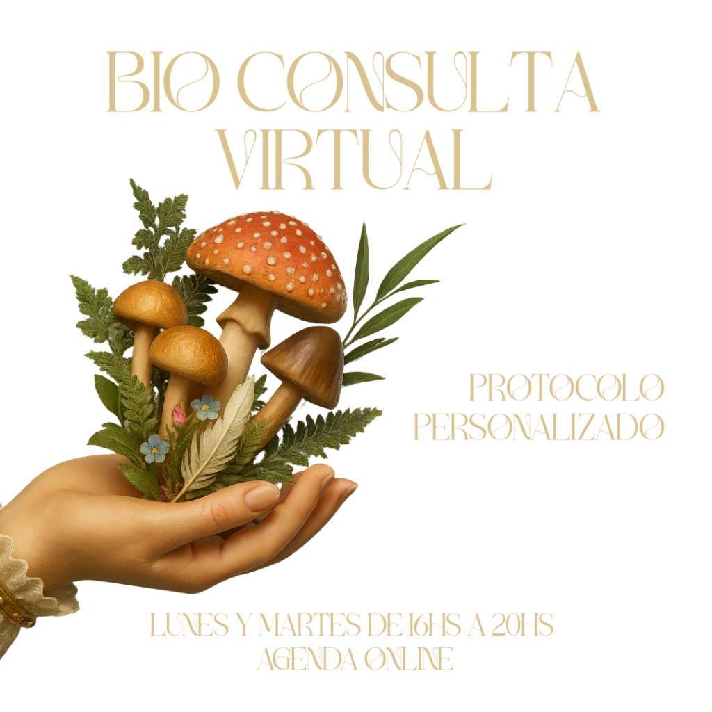 BIO CONSULTA VIRTUAL